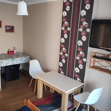 Homestay Slonecznik